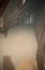 TruSoft Cellulose Added