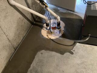 TripleSafe Sump Pump