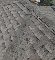 Damaged Shingles