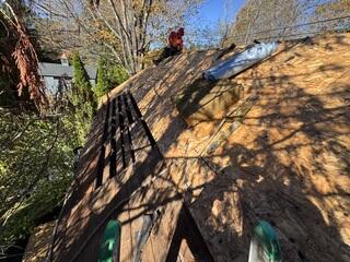 Bad Plywood Is Removed