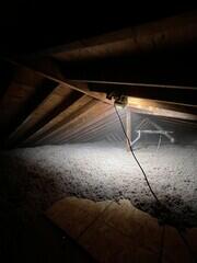 Insulated and Guarded Attic