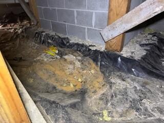 This vapor barrier had water damage, tons of debris and rodent droppings that added up over the years.