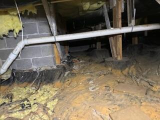 Fallen Fiberglass Insulation