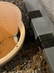 Drainage System Connected to Sump Pump