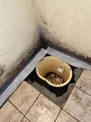 Sump Pump Installation