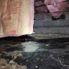 Moisture Issues in Crawl Space