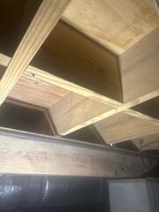 After Mold Treatment