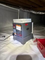 Pint Sized Powerhouse