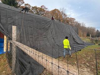 Protecting the Property