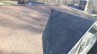 Before: Lots of Lichen