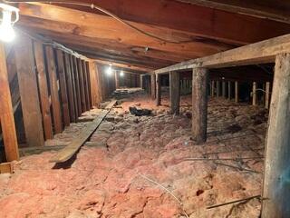 Old Insulation Removed