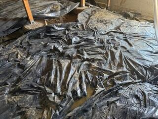 Wet Crawl Space Causing Headaches- Oak Harbor, WA