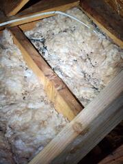 Presents in the Attic