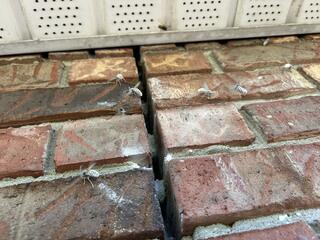 Coming From a Small Opening