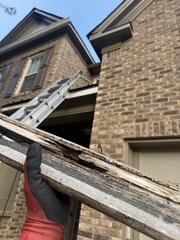 Fascia rot - needs replacement