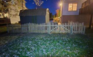 Natural Concave Gothic Picket Pressure Treated Wood/ (1) Double 8' gate