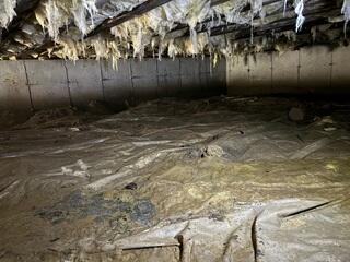 Wet Crawl Space