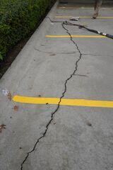 Large Crack in the Concrete