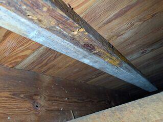 Damaged Floor Joists