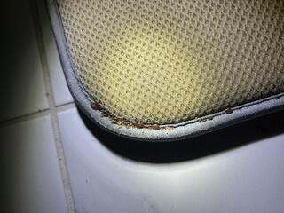 Bath Mat Full of Bed Bugs