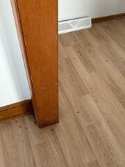 Time to Treat for the Cockroachews