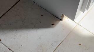 Come Back & Treat Again if Needed