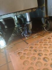 Drain Flies & Red-Eyed Fruit Flies