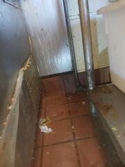 Showing the Owner & Then Treating