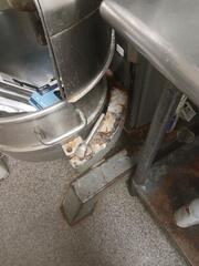 Get Rid of the Fruit Flies