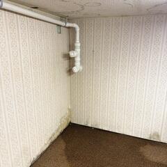 Soggy Basement Carpets