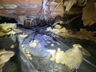 Damp Crawl Space