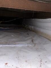 Clean Crawlspace