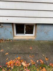 Everlast Window Insert