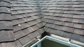Before: Worn Shingles & Lichen