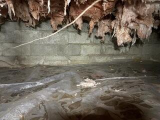 Debris and Moisture-Filled Crawl Space