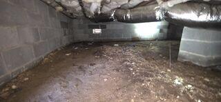 Crawl Space Moisture