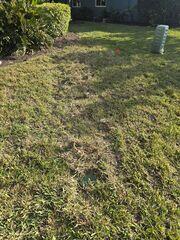 Concealing Drainage Pipe