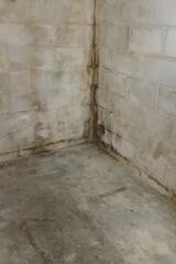 Due to the water intrusion, mildew is growing on the concrete block wall. If there is enough organic material on the walls, mold can also start to grow.