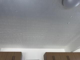 RetroFoam is injected into the ceiling to fill every cavity. The holes made during installation are sealed with Styrofoam plugs, which blend into the drywall seamlessly!