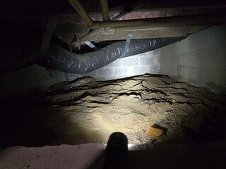 Damp crawl space