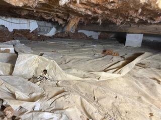 Inhospitable Environment