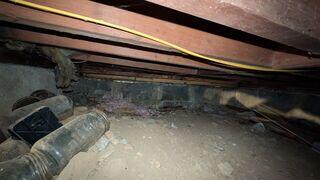 Crawl Space