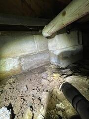 Wet Crawl Space