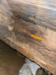 Wet Crawl Space Wood