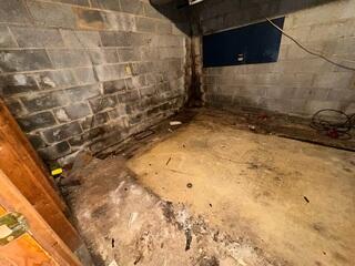 Severe Water Intrusion and Mold Damage in Basement - Sanford, NC