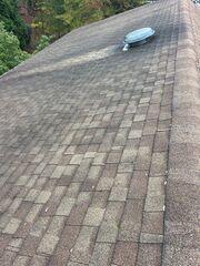 Discoloration and shingle damage