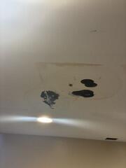 Water Leak Led to Mold