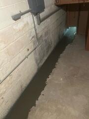 Dry Basement