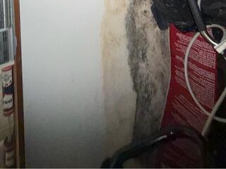 You can see just how bad the water and moisture problem was becoming. Mold was growing on the walls and ceilings. This was a health hazard to the family, potentially causing aggravated allergies, asthma, and other health-related issues.