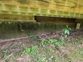 Water Damage on Foundation